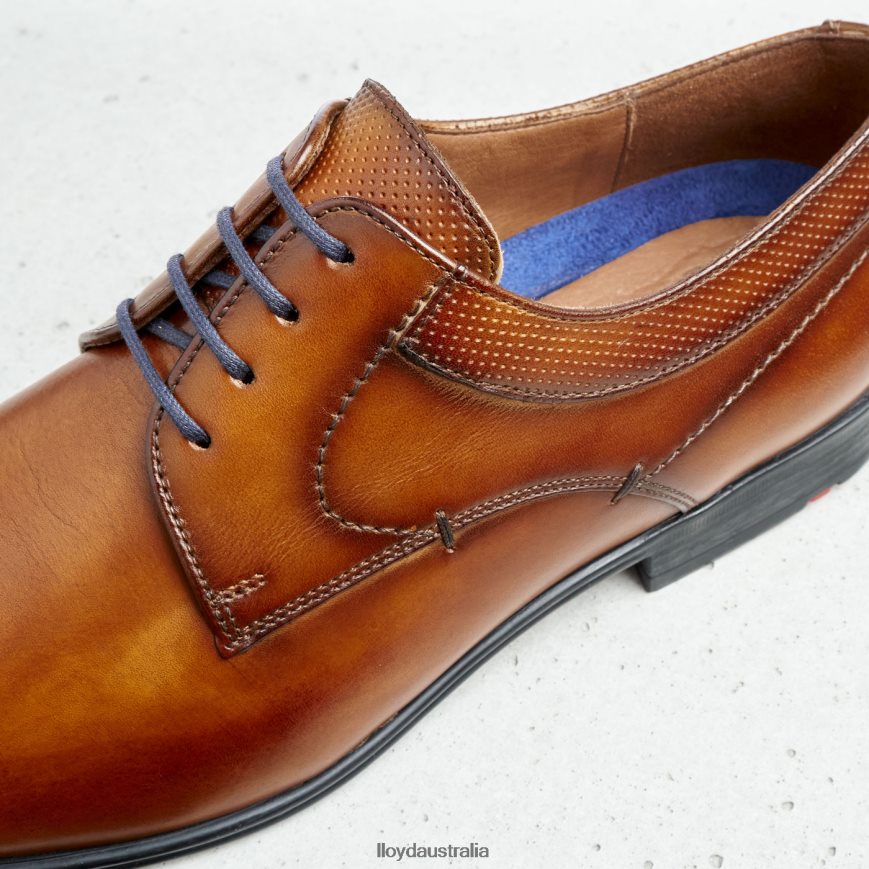 LLOYD Men MADISON brown Shoes H6PTLF192