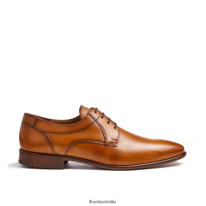 LLOYD Men MANON brown Shoes H6PTLF118