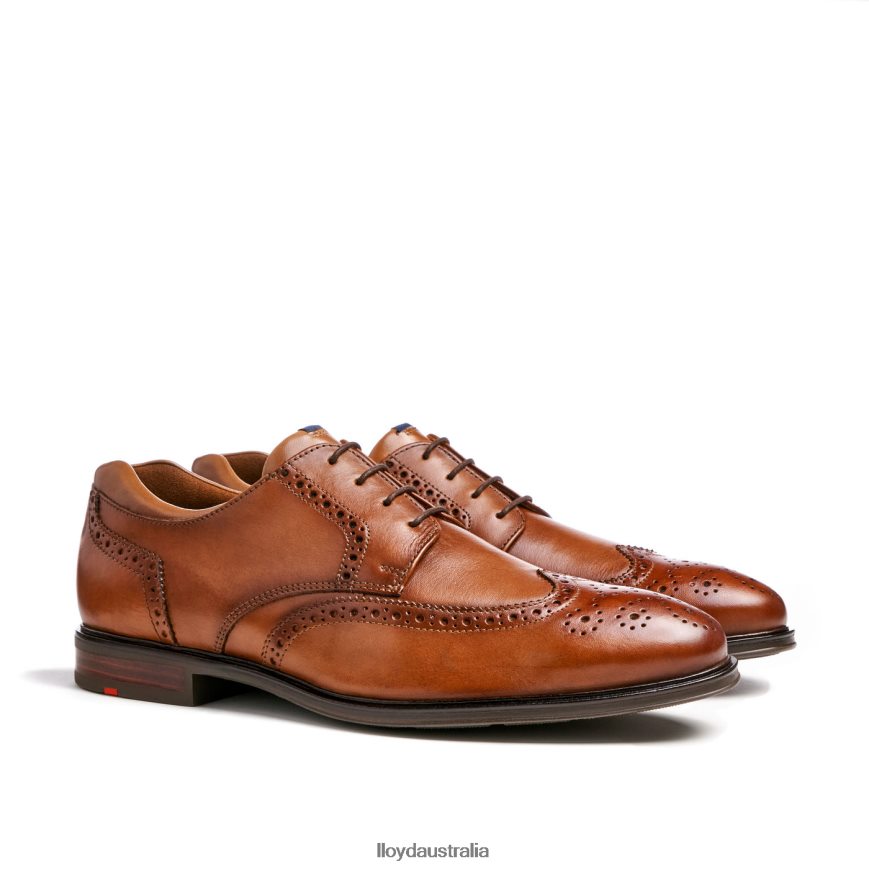 LLOYD Men MARIAN brown Shoes H6PTLF141