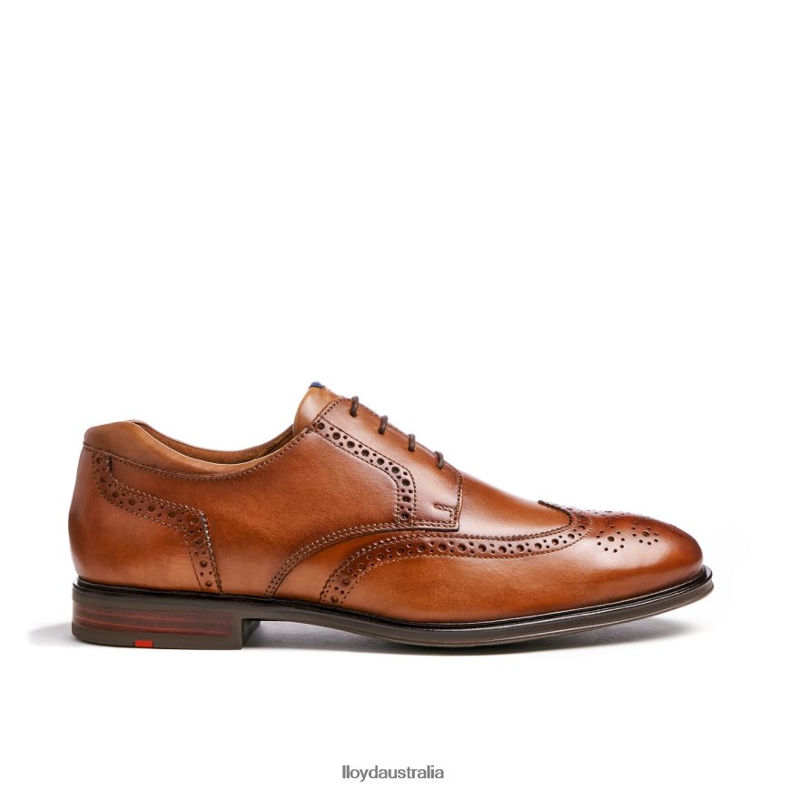 LLOYD Men MARIAN brown Shoes H6PTLF141