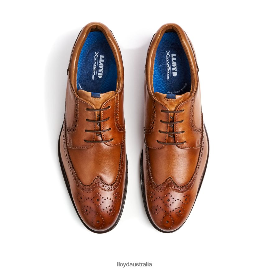 LLOYD Men MARIAN brown Shoes H6PTLF141
