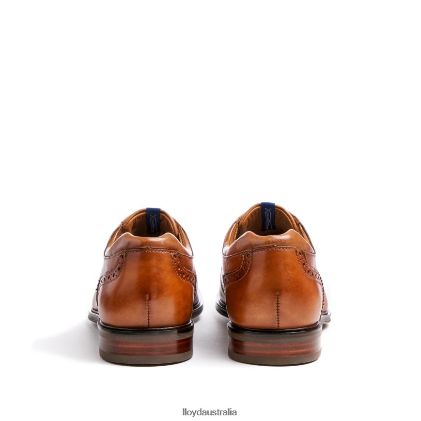 LLOYD Men MARIAN brown Shoes H6PTLF141