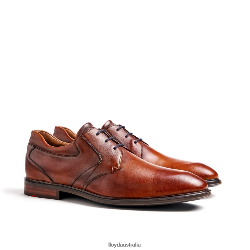 LLOYD Men MONTY brown Shoes H6PTLF134