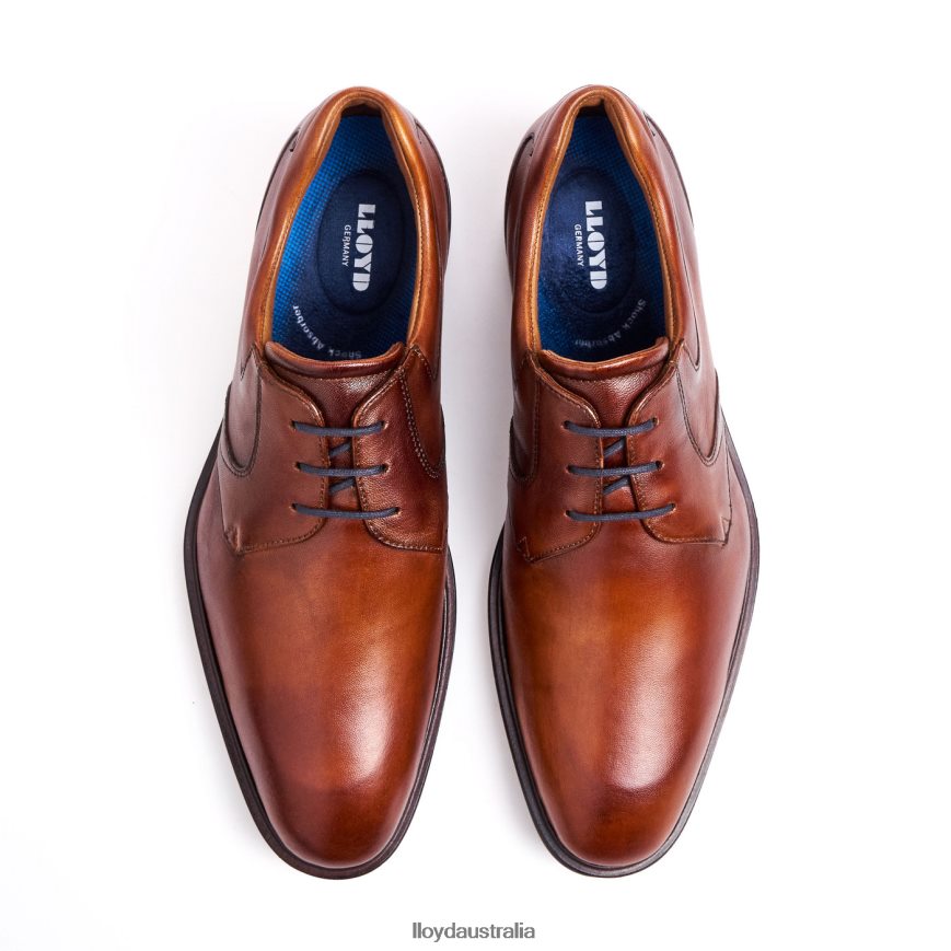 LLOYD Men MONTY brown Shoes H6PTLF134