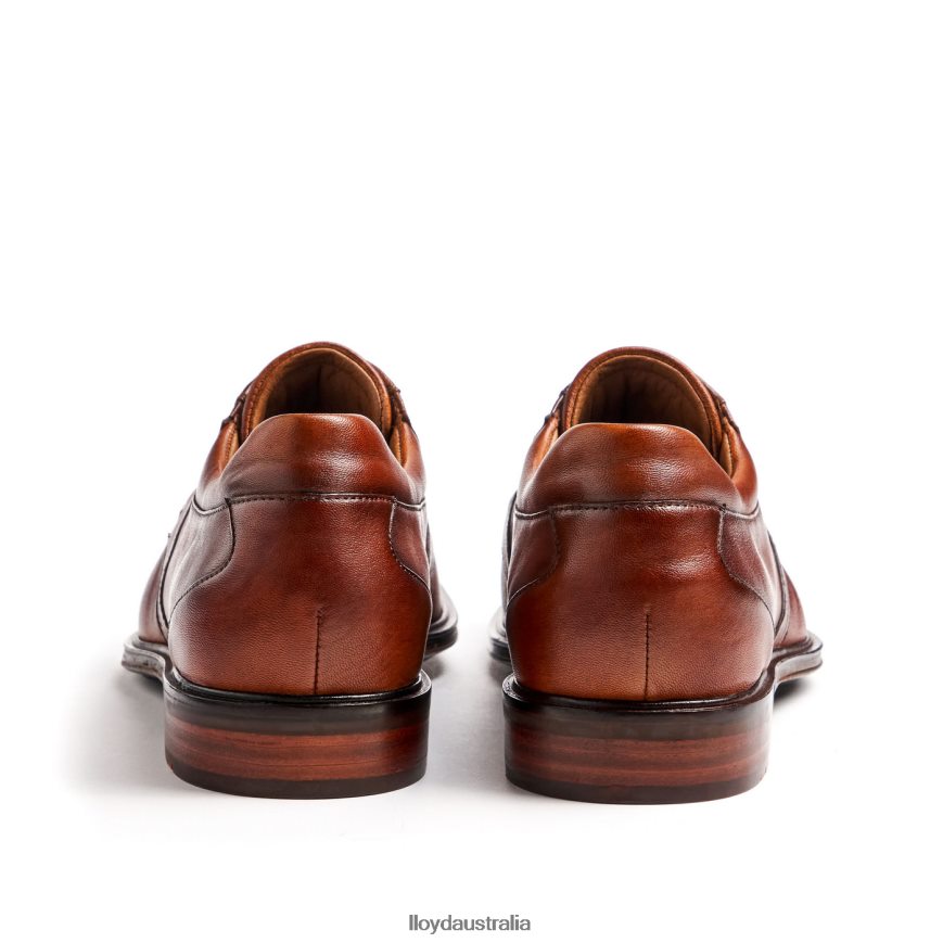 LLOYD Men MONTY brown Shoes H6PTLF134