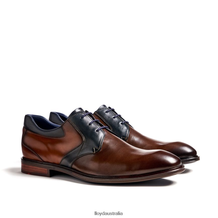 LLOYD Men MONTY brown Shoes H6PTLF227