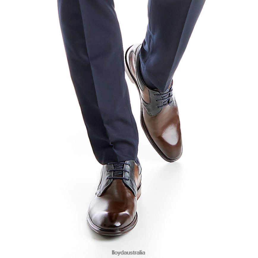 LLOYD Men MONTY brown Shoes H6PTLF227