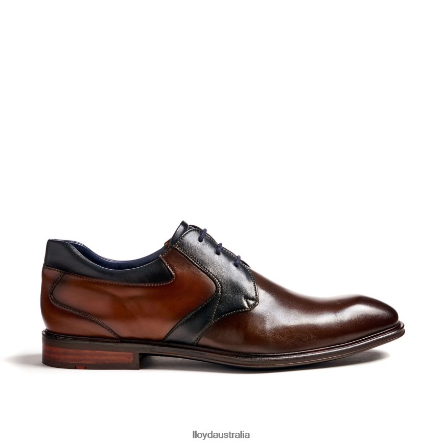 LLOYD Men MONTY brown Shoes H6PTLF227