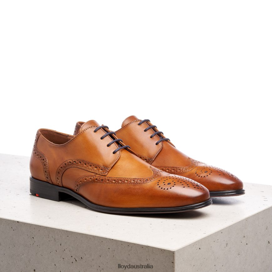 LLOYD Men MORTON brown Shoes H6PTLF1321