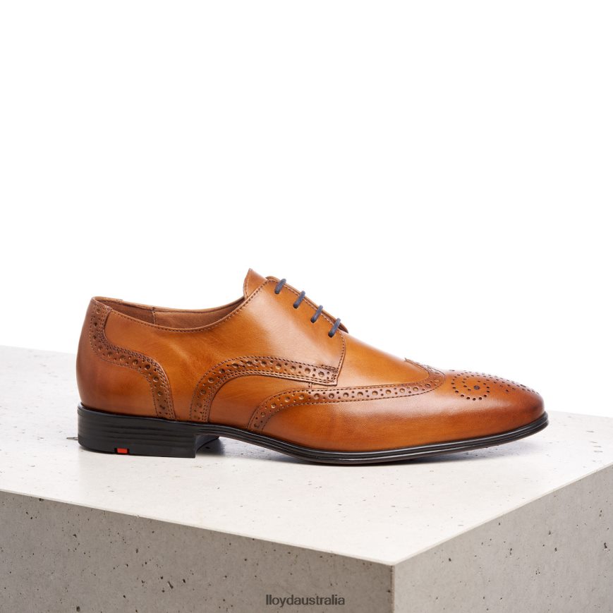 LLOYD Men MORTON brown Shoes H6PTLF1321