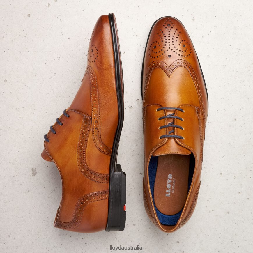 LLOYD Men MORTON brown Shoes H6PTLF1321