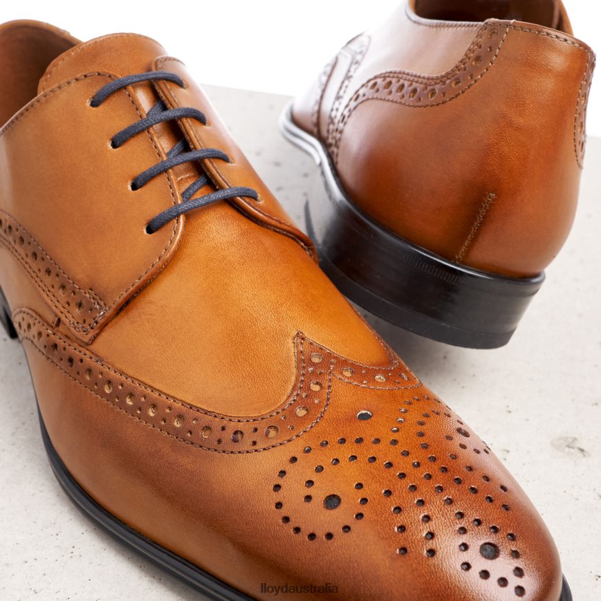 LLOYD Men MORTON brown Shoes H6PTLF1321