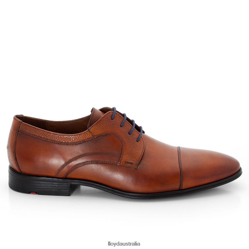 LLOYD Men ORWIN brown Shoes H6PTLF95