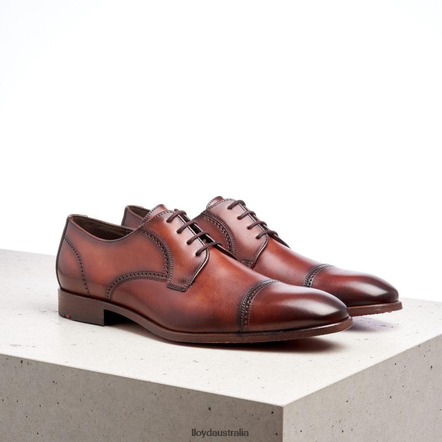 LLOYD Men PERRY brown Shoes H6PTLF177