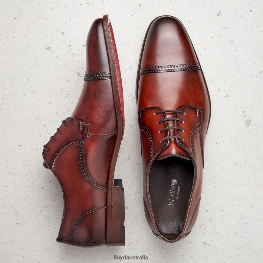LLOYD Men PERRY brown Shoes H6PTLF177