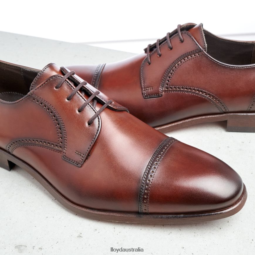 LLOYD Men PERRY brown Shoes H6PTLF177