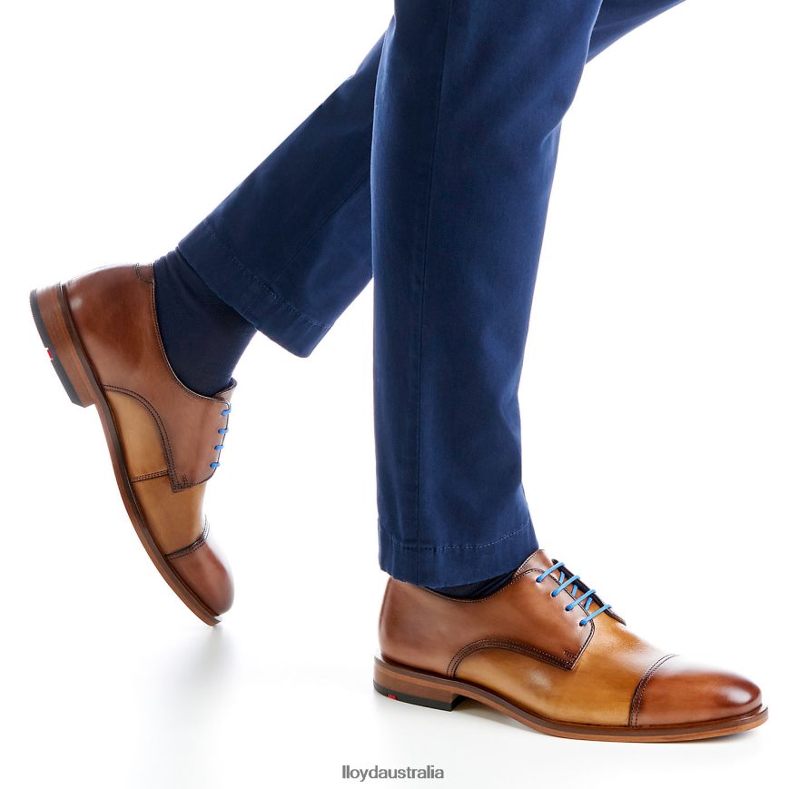 LLOYD Men RICK brown Shoes H6PTLF216
