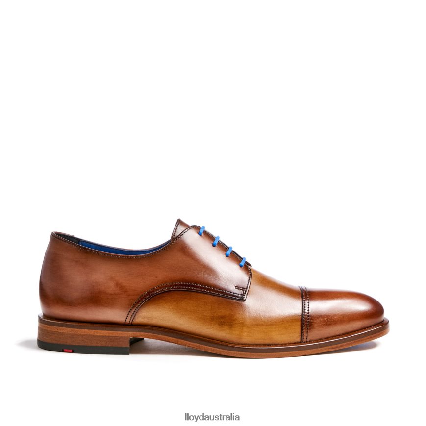 LLOYD Men RICK brown Shoes H6PTLF216