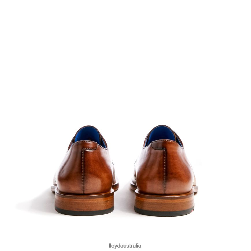 LLOYD Men RICK brown Shoes H6PTLF216