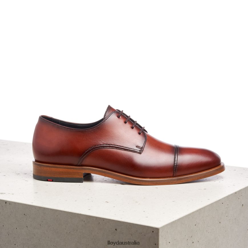 LLOYD Men RODNEY brown Shoes H6PTLF195