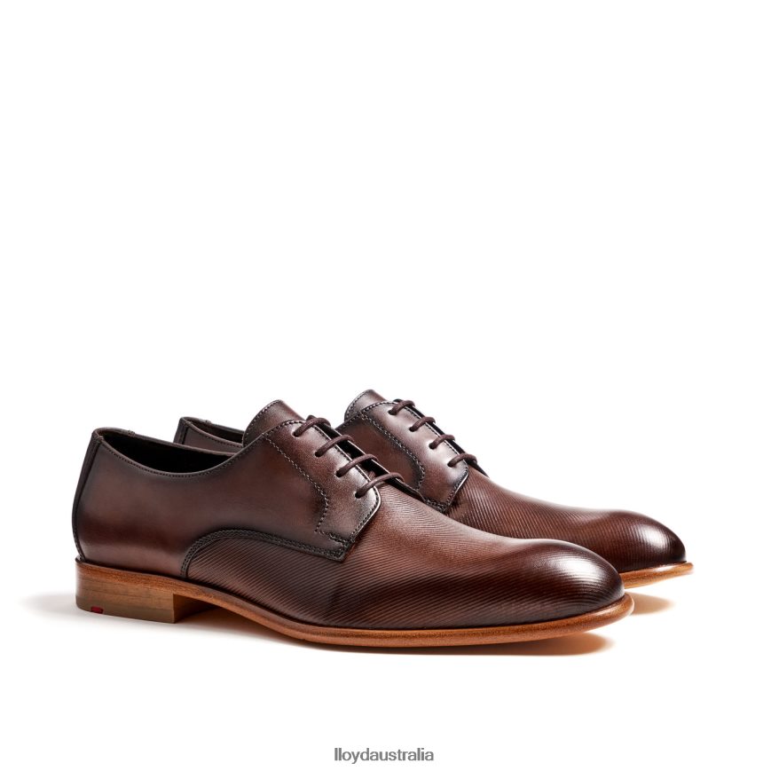 LLOYD Men SAIGON brown Shoes H6PTLF115