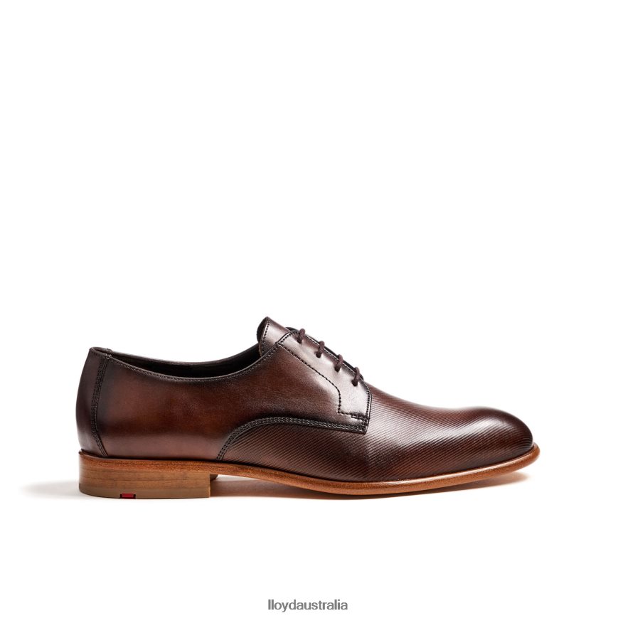 LLOYD Men SAIGON brown Shoes H6PTLF115