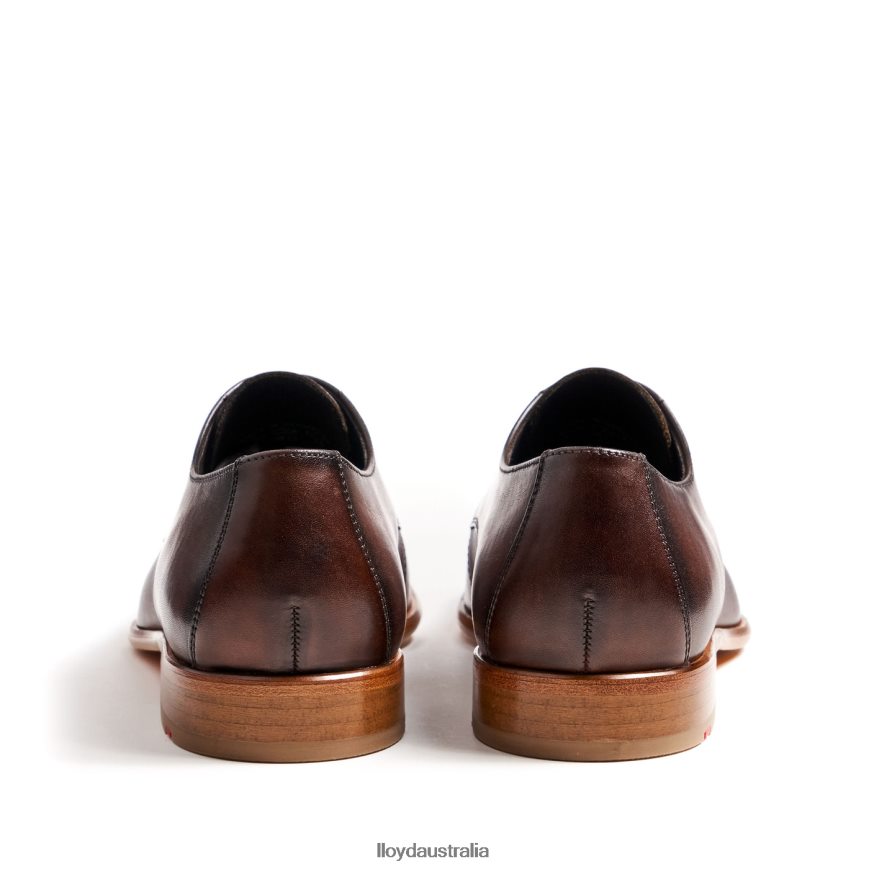 LLOYD Men SAIGON brown Shoes H6PTLF115
