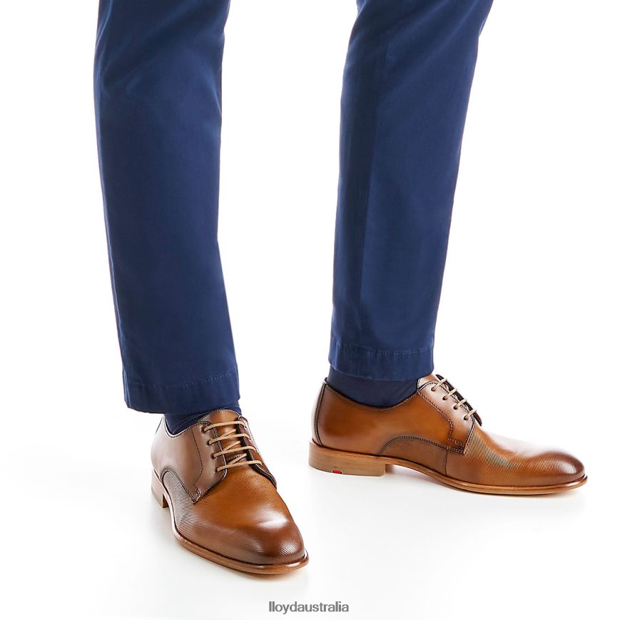 LLOYD Men SAIGON brown Shoes H6PTLF158