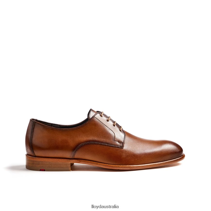 LLOYD Men SAIGON brown Shoes H6PTLF158