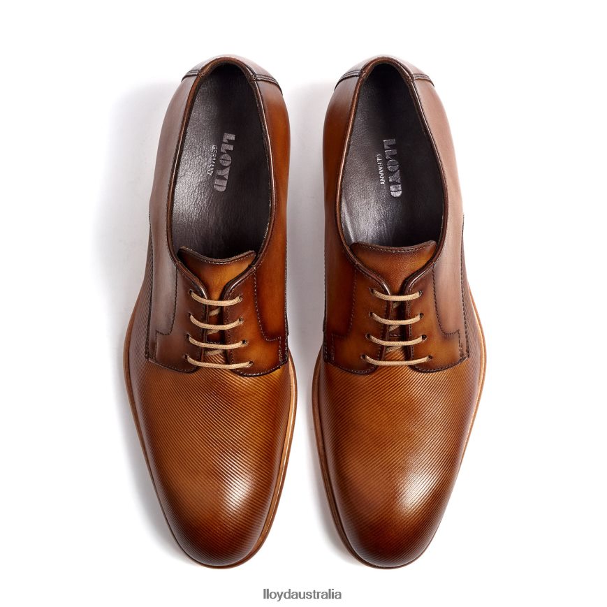 LLOYD Men SAIGON brown Shoes H6PTLF158
