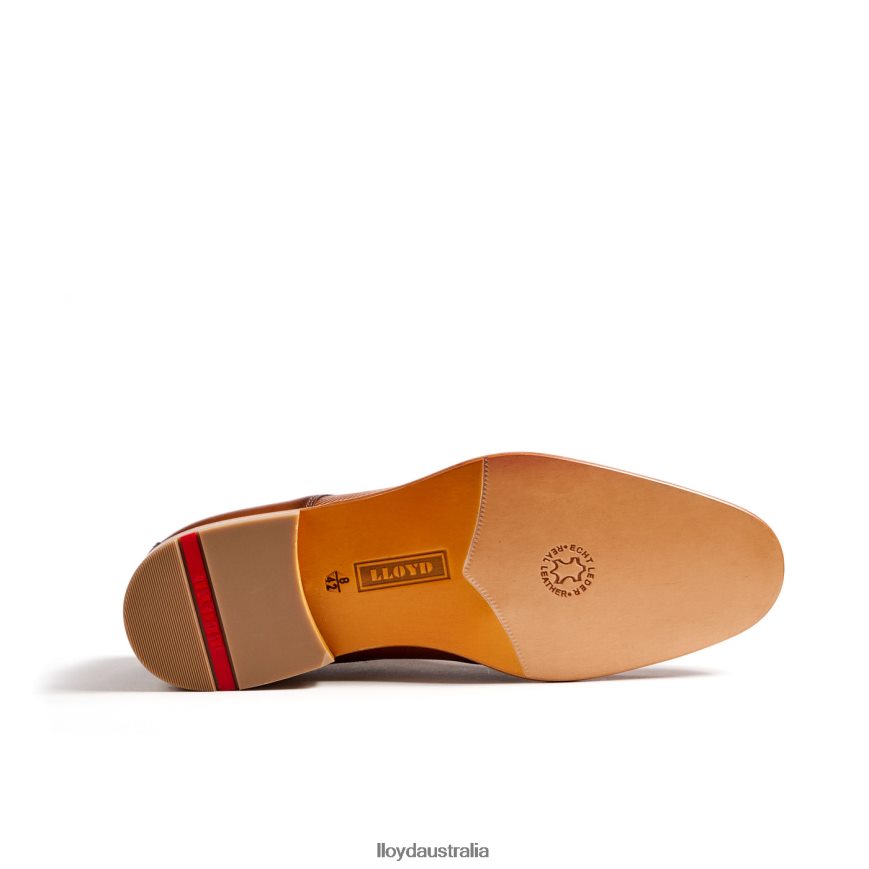 LLOYD Men SAIGON brown Shoes H6PTLF158