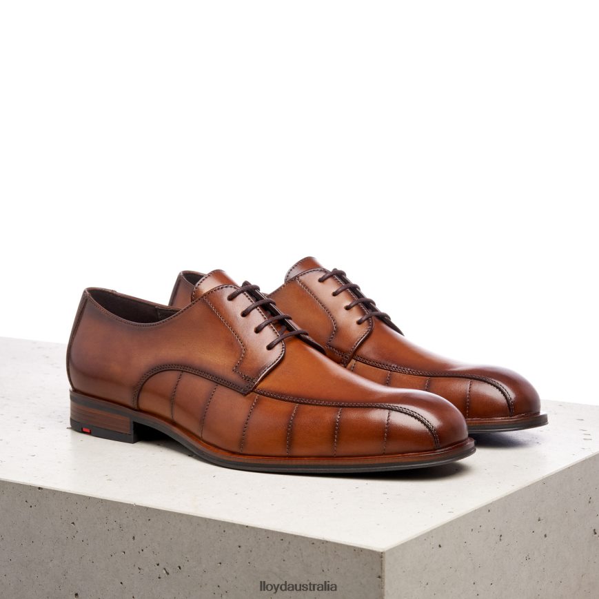 LLOYD Men SALUTE brown Shoes H6PTLF224