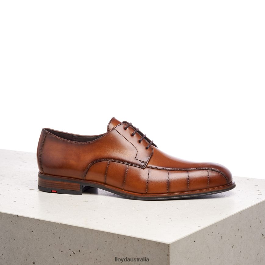 LLOYD Men SALUTE brown Shoes H6PTLF224