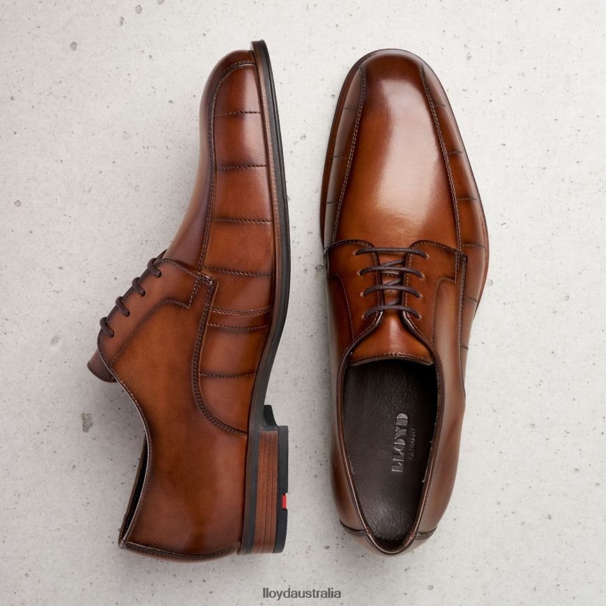 LLOYD Men SALUTE brown Shoes H6PTLF224