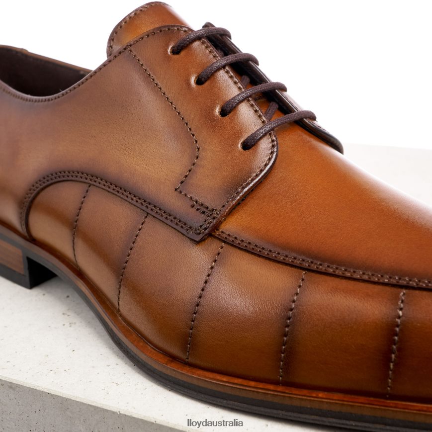 LLOYD Men SALUTE brown Shoes H6PTLF224