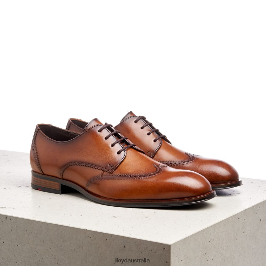 LLOYD Men SAMSON brown Shoes H6PTLF235