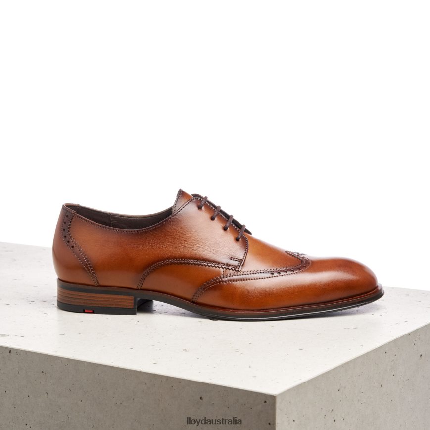 LLOYD Men SAMSON brown Shoes H6PTLF235