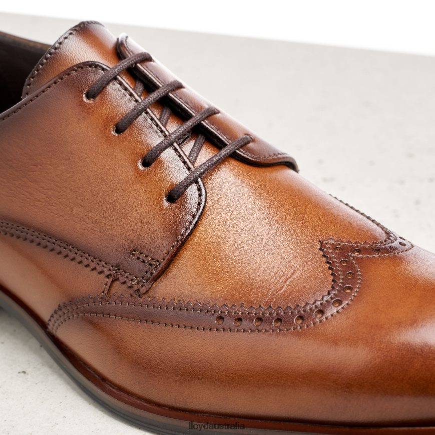 LLOYD Men SAMSON brown Shoes H6PTLF235