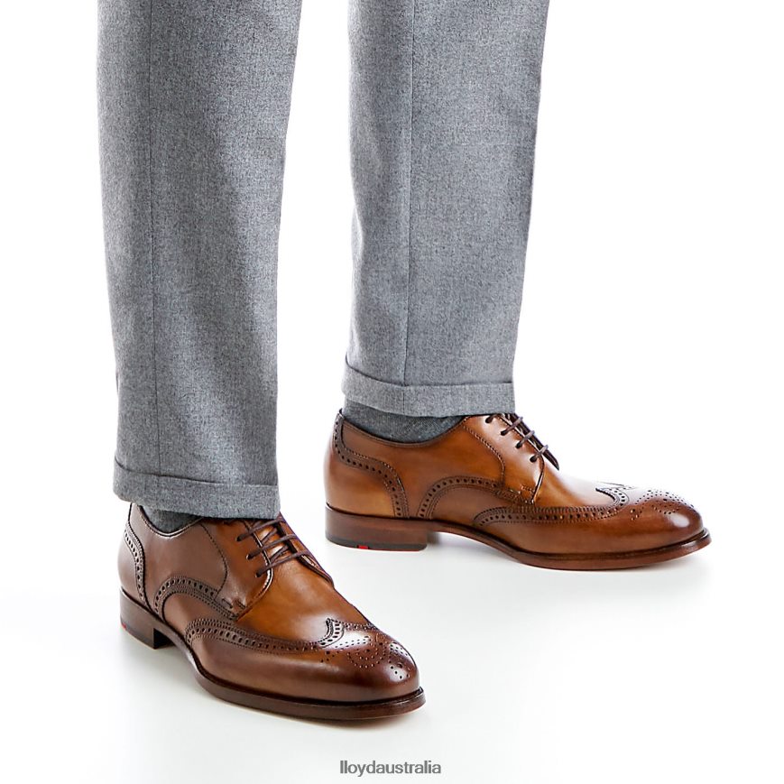 LLOYD Men SHERIDAN brown Shoes H6PTLF205