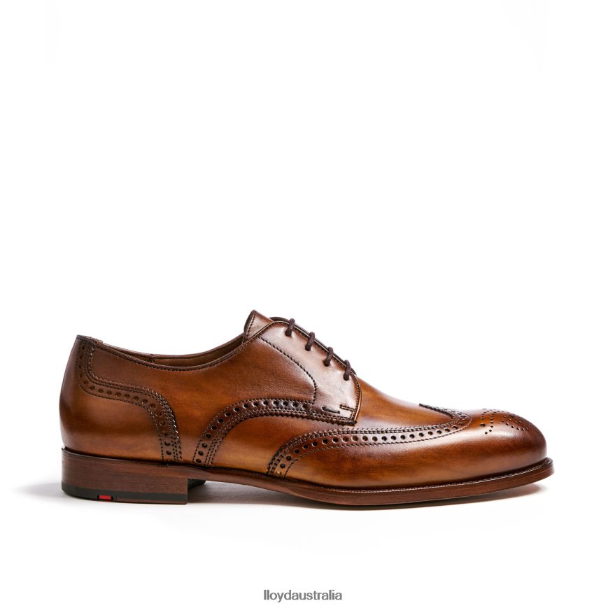 LLOYD Men SHERIDAN brown Shoes H6PTLF205
