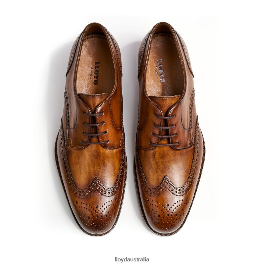 LLOYD Men SHERIDAN brown Shoes H6PTLF205