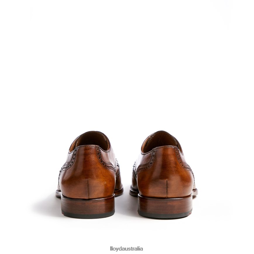 LLOYD Men SHERIDAN brown Shoes H6PTLF205