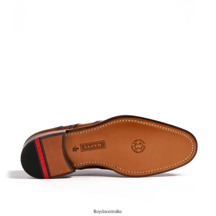 LLOYD Men SHERIDAN brown Shoes H6PTLF205