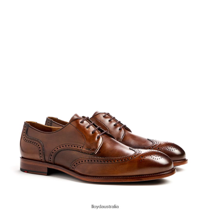 LLOYD Men STAFFORD brown Shoes H6PTLF69