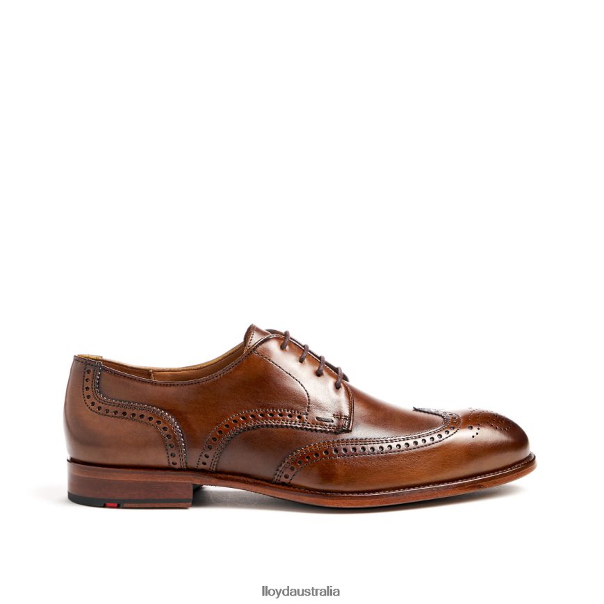 LLOYD Men STAFFORD brown Shoes H6PTLF69