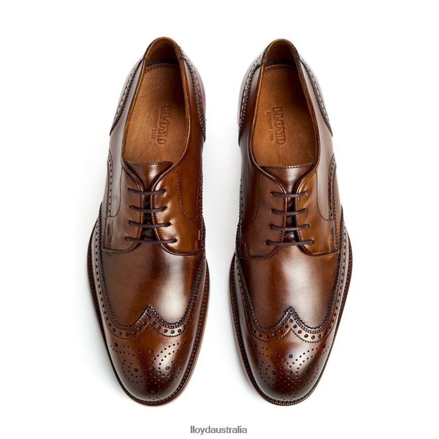 LLOYD Men STAFFORD brown Shoes H6PTLF69
