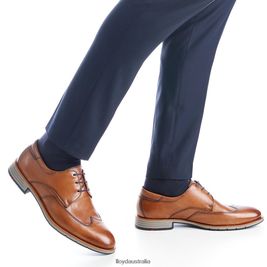 LLOYD Men TAYLOR brown Shoes H6PTLF1325