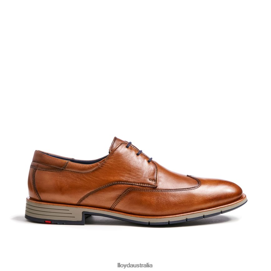 LLOYD Men TAYLOR brown Shoes H6PTLF1325
