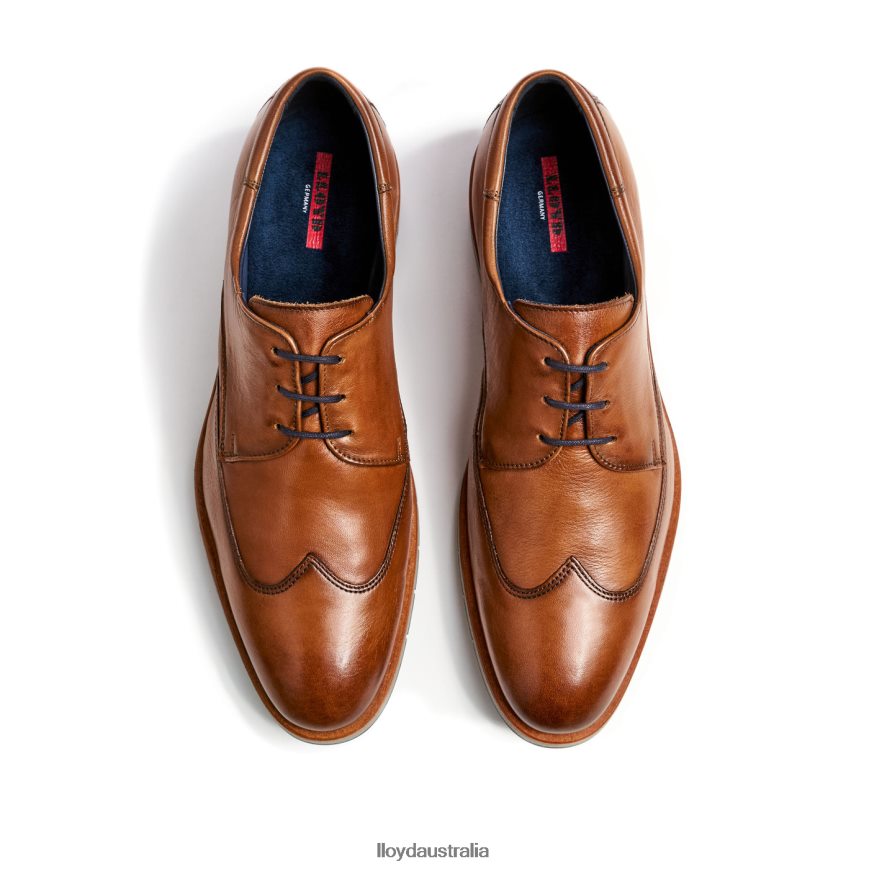 LLOYD Men TAYLOR brown Shoes H6PTLF1325