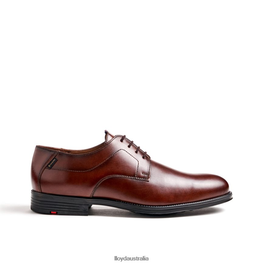 LLOYD Men VALMARY brown Shoes H6PTLF22